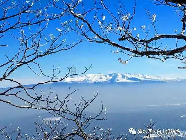 影视工厂