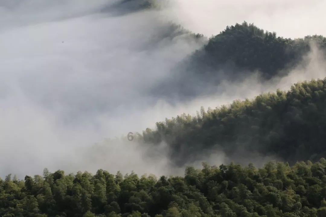 超级坦克消灭僵尸