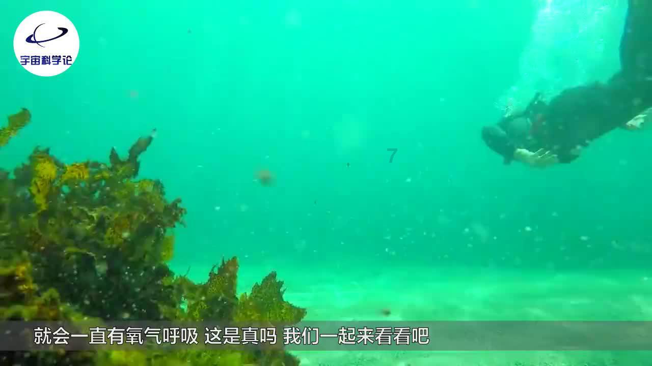 堡垒之夜