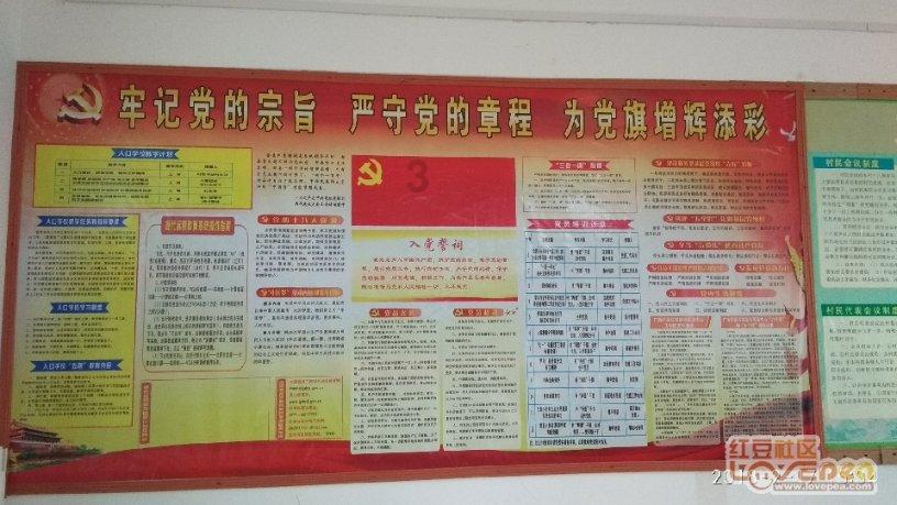 虞书欣座驾公然在高速上违规倒车？这也太离谱了吧……