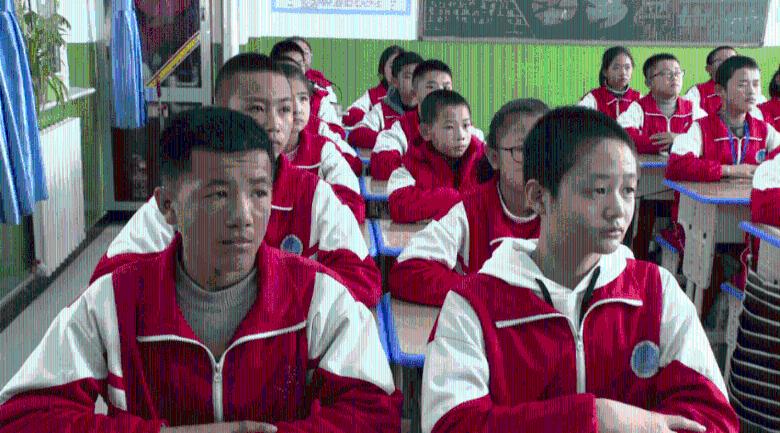 猫和老鼠官方手游