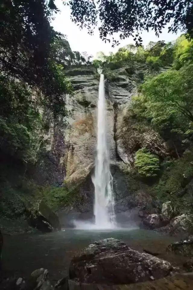 救援绿鳄人